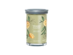 Vela Perfumada Yankee Candle Tumbler Grande Sálvia Cítricos Cera De Soja, 567g