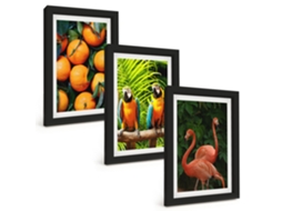 Conjunto De Pinturas Detalhes De Frutas Tropicais Moldura Preta Quadros Para A Sala De Estar Espelharte (3 Peças 20x30 Cm)