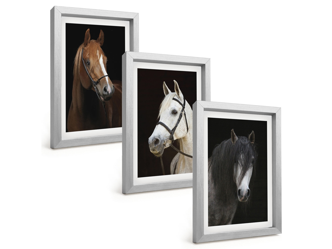 Composição De Quadros Retratos De Cavalos Em Tons De Pelo Espelharte (3 Peças 20x30 Cm)