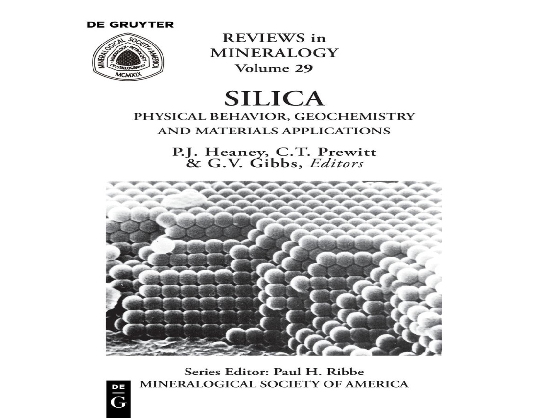 Livro Silica de De Gruyter (Inglês)