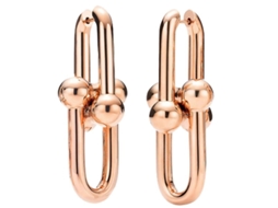 _brincos em Forma de Ferradura Elegantes Versáteis Aprimoram Seu Estilo Fashion