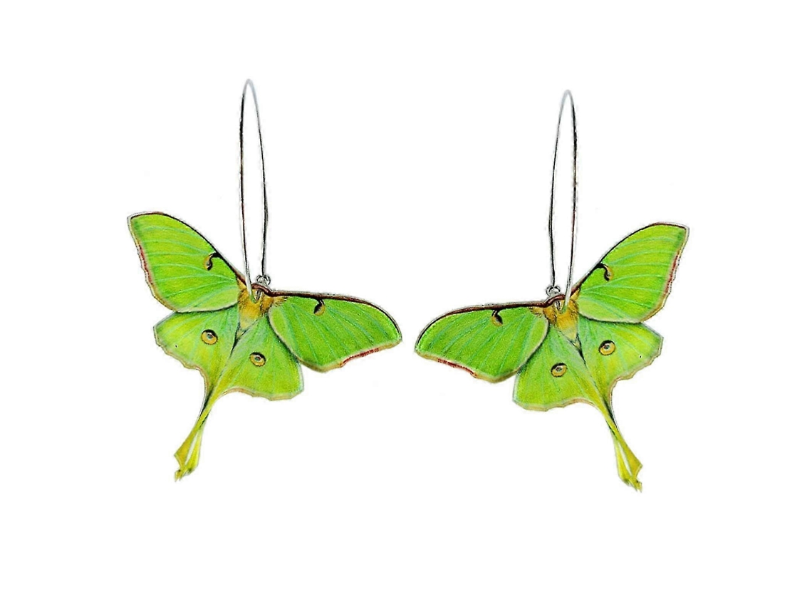 Brincos De Acrílico Verde Com Borboleta, Design Incomum