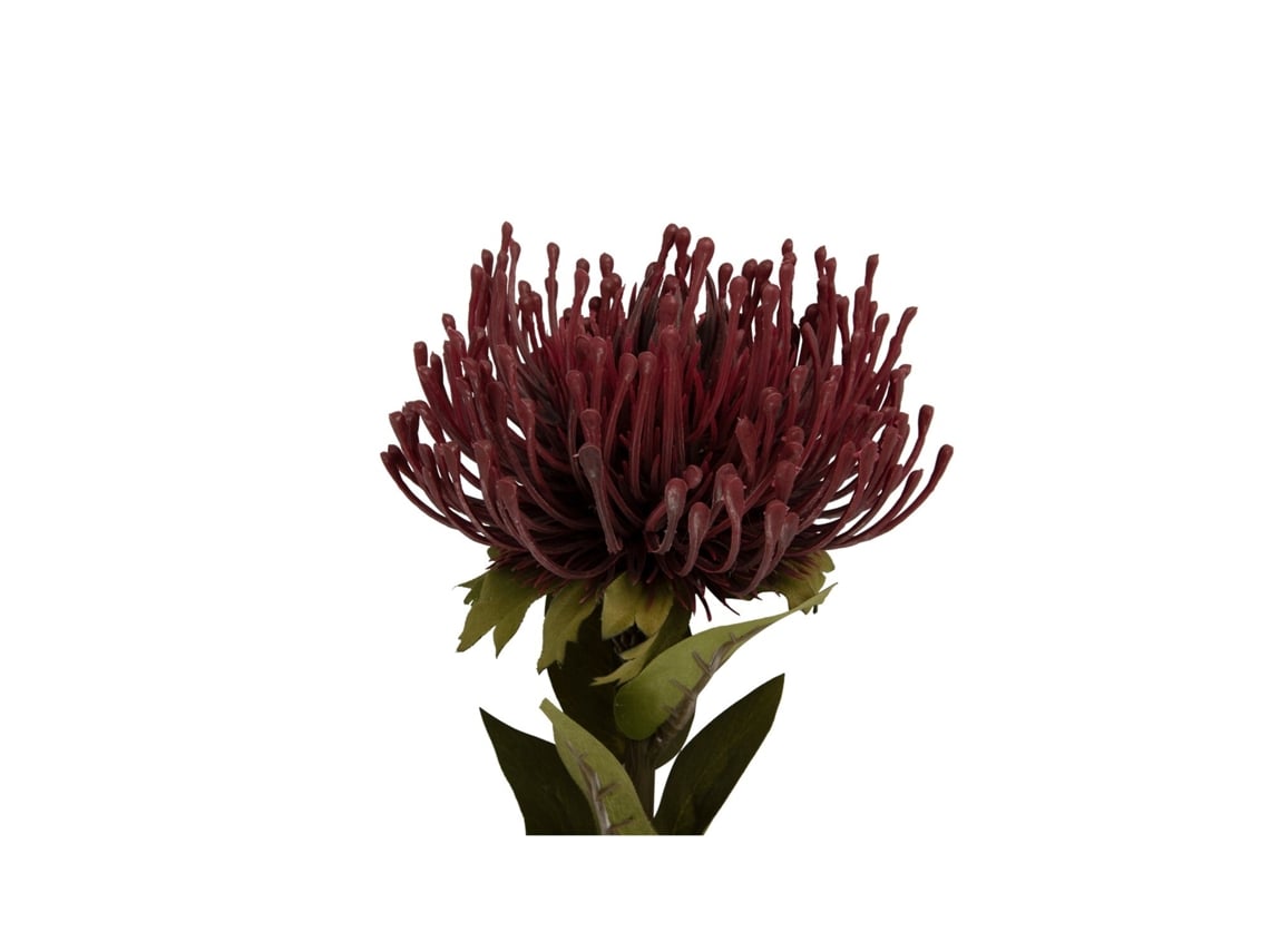 Planta Artificial PRESENT TIME Protea Flower Large Worten.pt