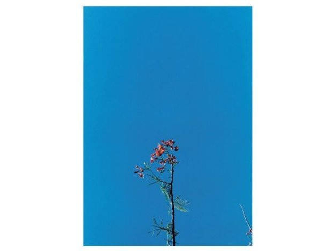 Vinil Lp-Joanna Newson & Ys Street Band -Ep- -12"-