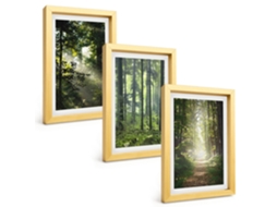 Composição De Quadros Florestas Verdes Com Raios De Luz Espelharte (3 Peças 20x30 Cm)
