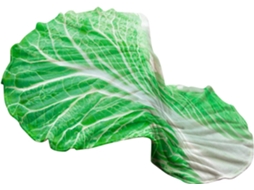 Manta Divertida Colcha Original com Estampa de Vegetais, Leve Lã Macia, Feita Tecido Suave Aconchego CHABERLU