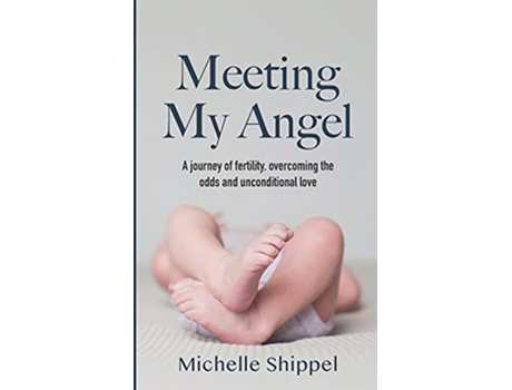 Livro Meeting My Angel de Michelle Shippel (Inglês)