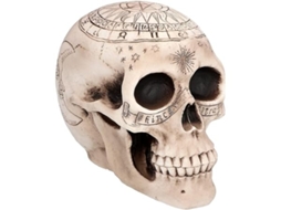 Caveiras e Enfeites em Forma de Caveira, 20 Cm, Objetos Decorativos, Dia Das Bruxas, Ergonômico, Uso Diário STELASPLEN