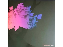 Vinil Jambinai - A Herdeira (1CDs)