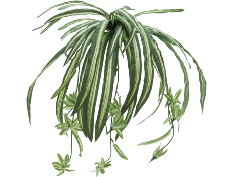 Planta Artificial EUROPALMS Spider Plant (Verde - 60 cm)