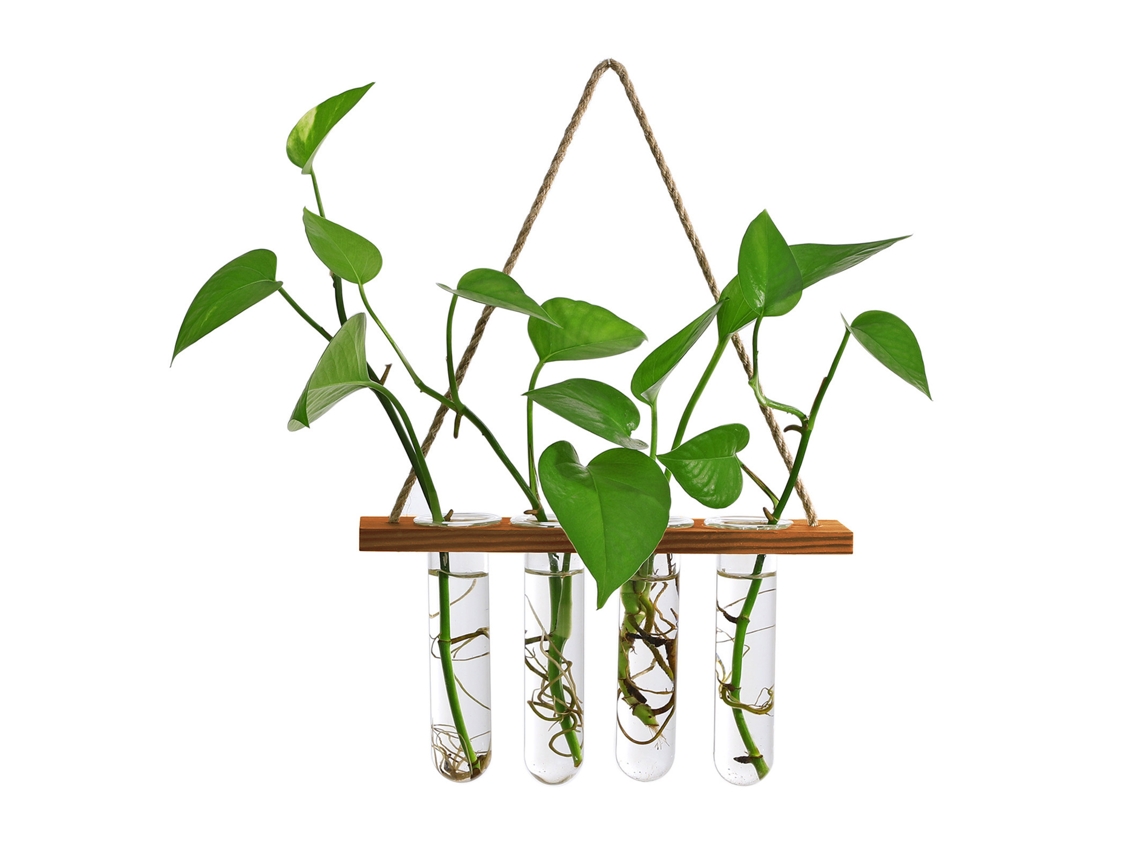 Vaso De Parede Laxiscreed Com Tubos De Vidro Para Plantas Hidroponicas E Decoração Em Madeira Natural