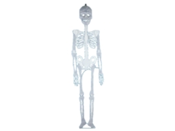 Esqueleto de Halloween Esqueleto Luminoso Que Brilha no Escuro para Decoração de Festa de Halloween Adereços