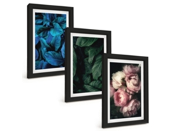 Composição De Quadrosfolhas, Flores, Várias Cores Moldura Preta Imagens Para Um Quarto Infantil Espelharte (3 Peças 20x30 Cm)