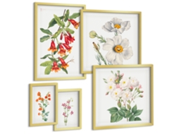 Conjunto De Pinturas Ilustrações Florais Botânicas Espelharte (5 Peças)