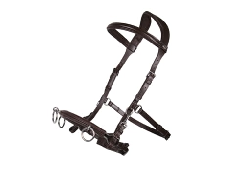 Estábulo de Couro para Cavalos QHP