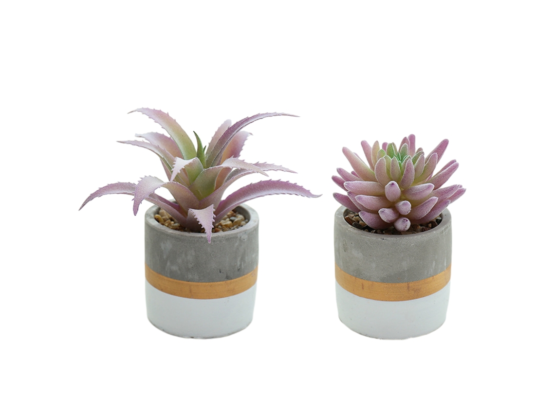 2 Peças de Mini Suculentas Simuladas em Vaso Ornamentos Criativos de Moda Plantas Artificiais NEVEANCE