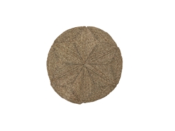 Tapete de Fibra Natural de Junco Marinho, 150 X 0,5 X 150 Cm ALEXANDRA HOUSE LIVING