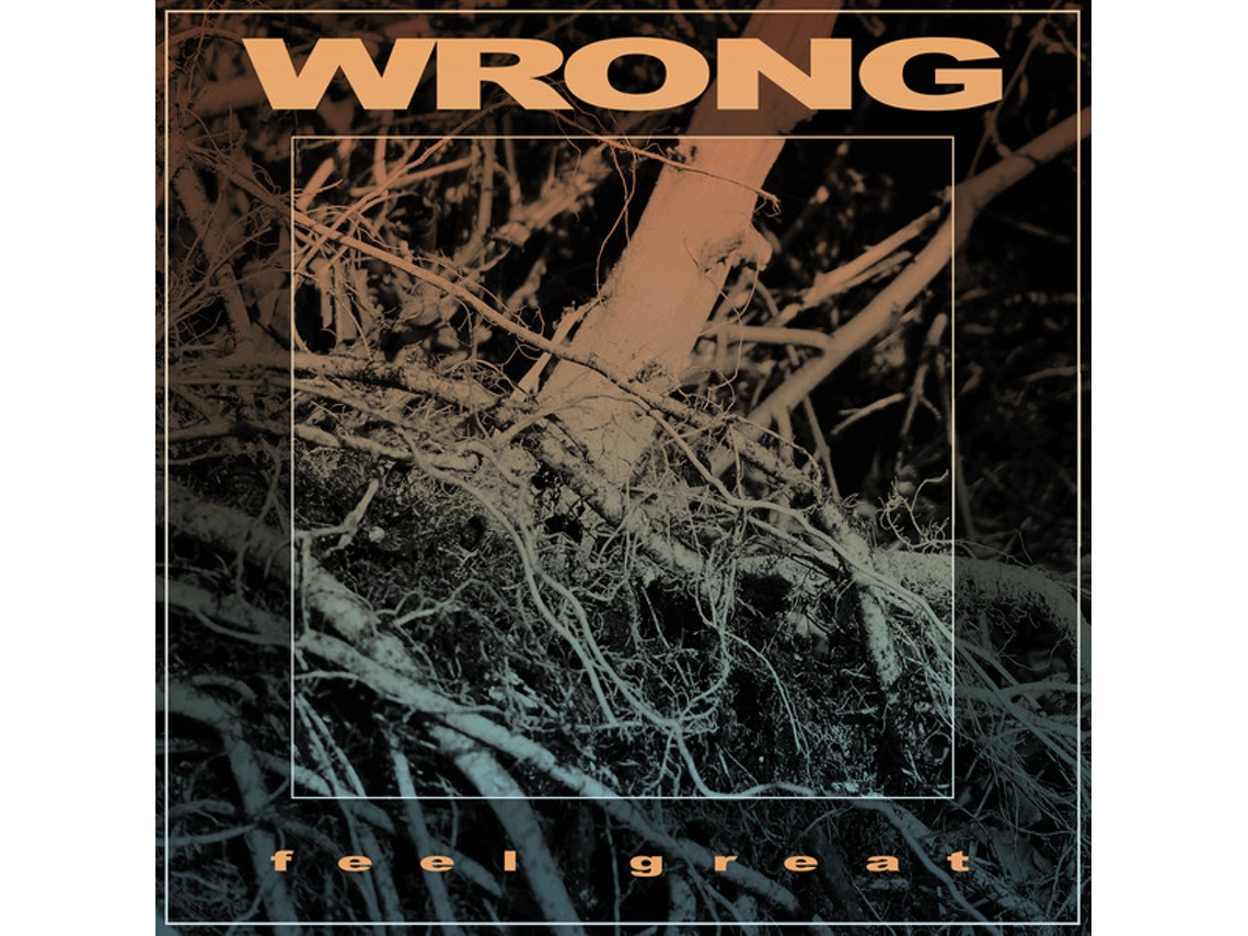 Vinil Wrong  - Feel Great
