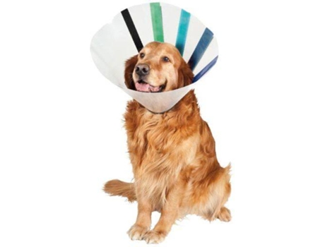 Colar Isabelino para Cães  Ez Clear (39-51x30 cm)