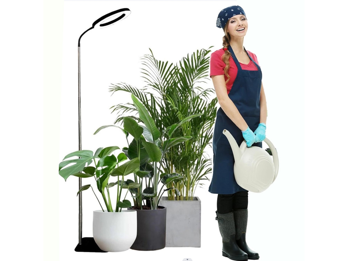 Luminária De Chão Com Base Em Anel De Anjo, Ideal Para Plantas, Preta, 260 Mm (10 Polegadas), 160 Leds.
