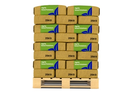 Batata De Semente - Agria A 28/35 - 1000 Kg - Organifer