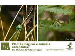 Bilhete TAPADA NACIONAL DE MAFRA - PLANTAS MÁGICAS E ANIMAIS ESCONDIDOS
