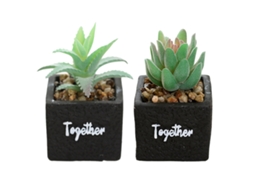2 Peças de Bonsai Suculento Artificial em Bacia Quadrada de Cimento Simulação de Flores Decoração Criativa para Casa RNEMITERY