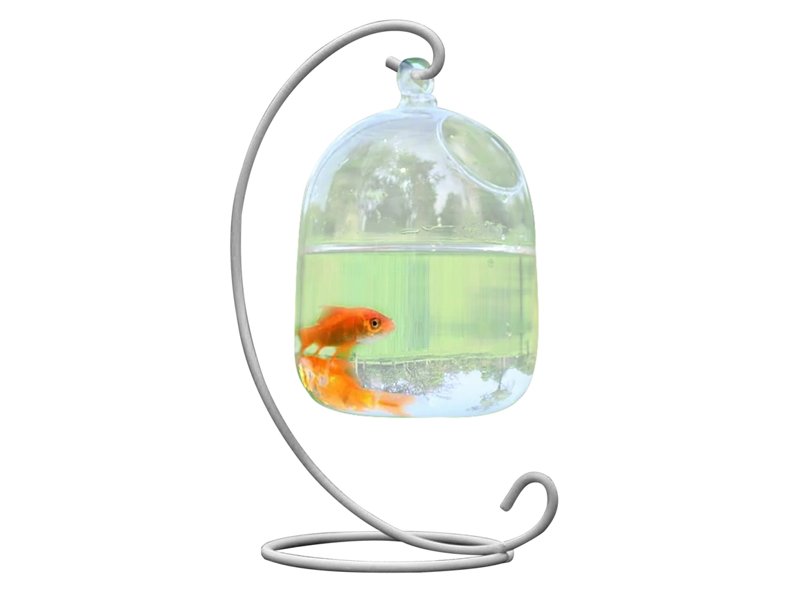 Vaso De Vidro Suspenso Para Peixes Com Suporte De Ferro Branco