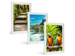 Composição De Quadros Floresta Tropical, Cachoeira, Papagaios Moldura Branca Fotos Para O Escritório Espelharte (3 Piezas De 40x60 Cm)