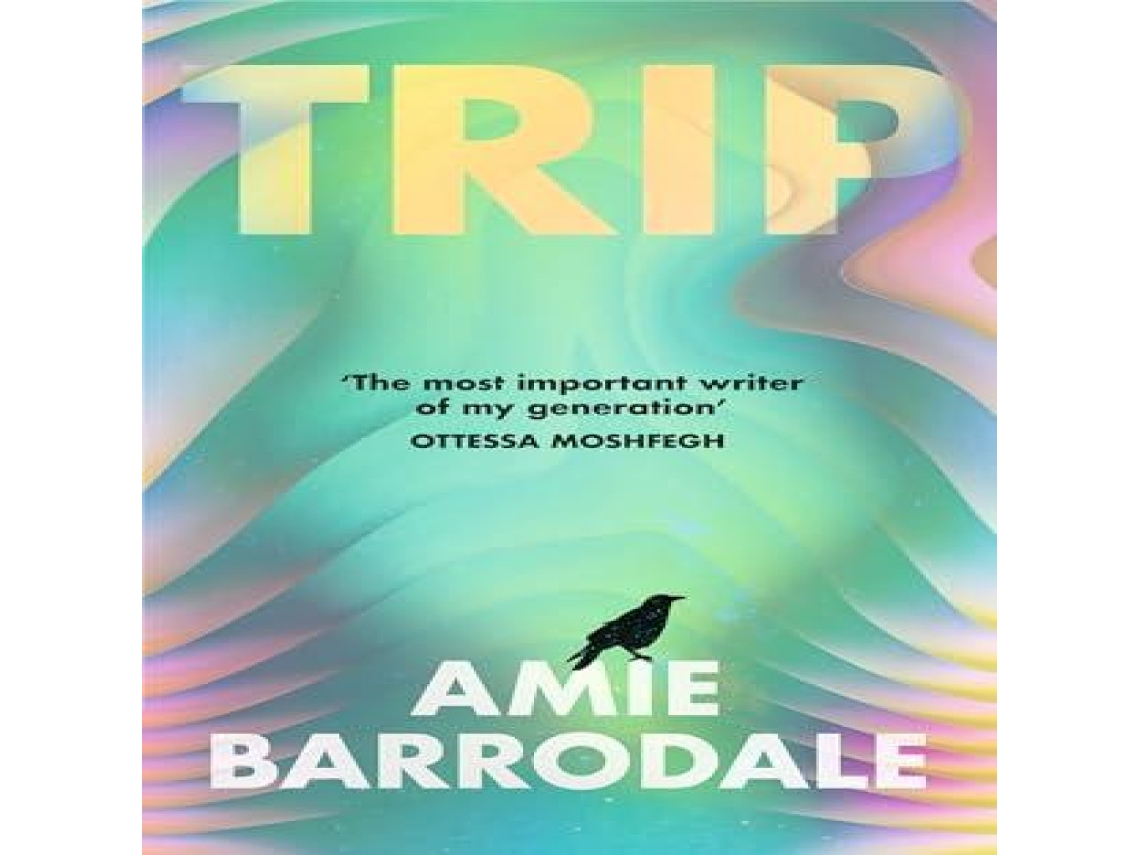 Livro Trip de Amie Barrodale (Inglês)