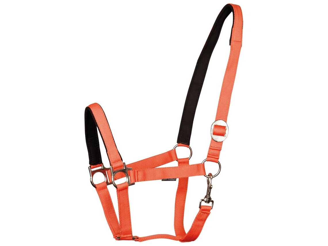 Cabresto de cavalo almofadado Harry's Horse