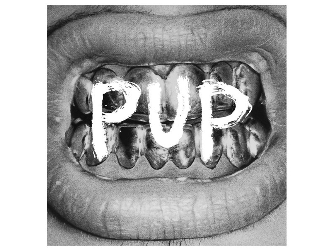 CD PUP  - PUP