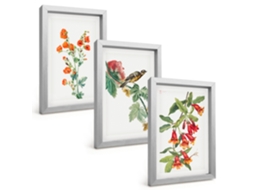Conjunto De Pinturasflores E Pássaros Pintados Moldura Prateada Quadros Para A Sala De Estar Espelharte (3 Peças 20x30 Cm)