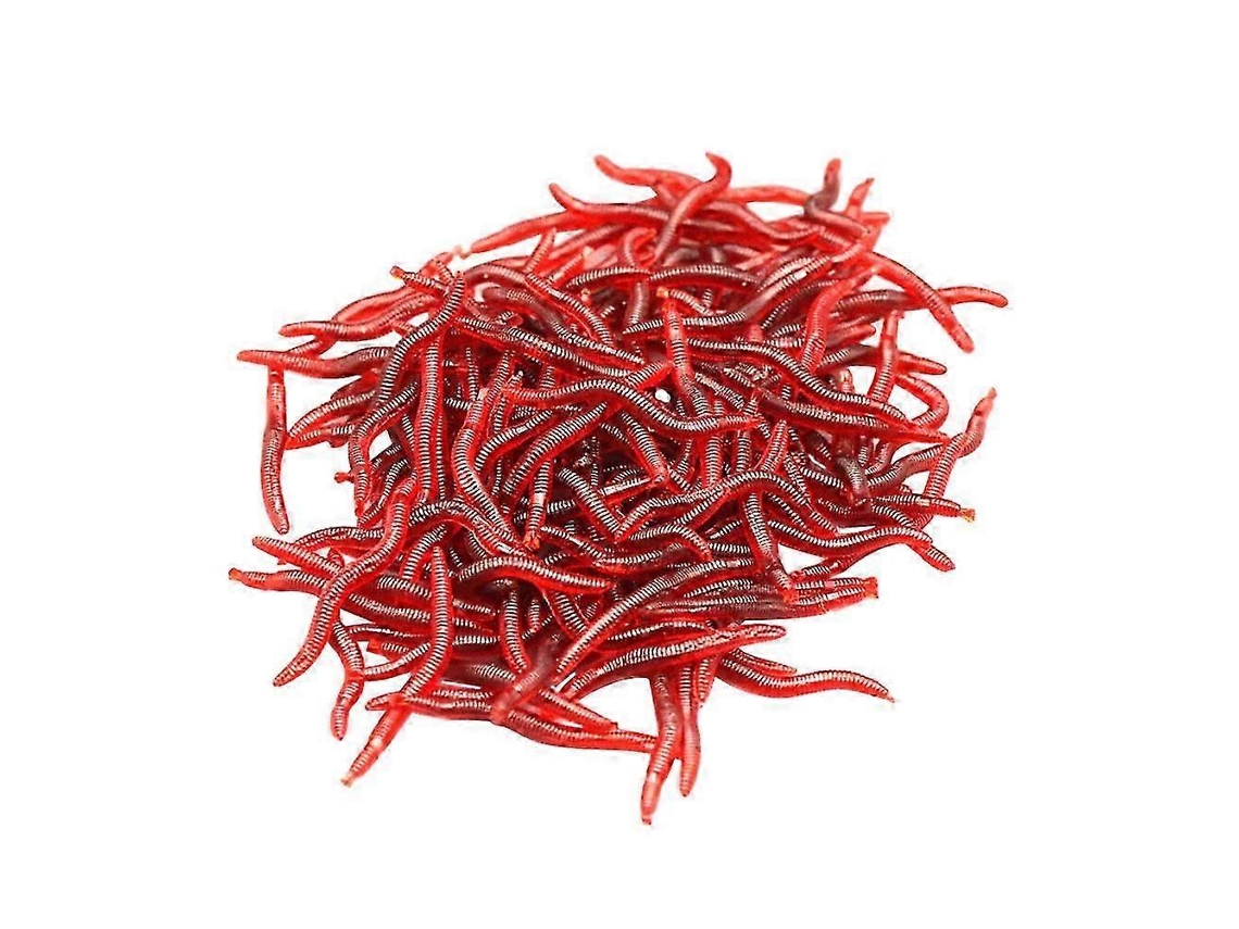 100 Peças De Brinquedos Pequenos Para Halloween Ao Ar Livre, Minhocas, Equipamentos De Pesca, Brinquedos De Halloween Ly Ebike