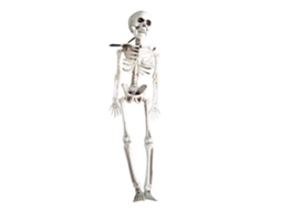 Esqueleto Decorativo Halloween 40cm Para Decoração Casa