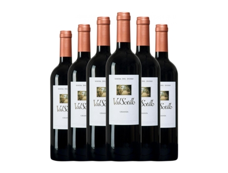 Vinho ISMAEL ARROYO Valsotillo Tempranillo Ribera del Duero Crianza (0.75 L - 6 Unidades)