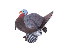 Ats modelo de Animal Simulado Pavo Estatua Juguete de Educación Infantil Decoración Hogar