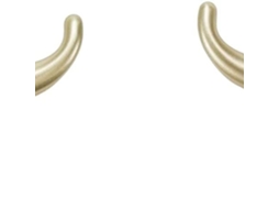 Conjunto De 2 Cabides Metálicos Taurus Em Liga De Zinco