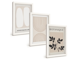Conjunto De Pinturas Plantas Delicadas Em Estilo Boho Pôsteres Moldura Branca Quadros Para A Sala De Estar Espelharte (3 Peças 20x30 Cm)