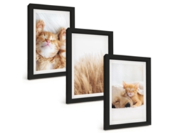 Pinturas Murais Modernas Animais Fofos, Gatos, Cachorros, Estilo Boho Moldura Preta Fotos Para O Corredor Espelharte (3 Peças 20x30 Cm)