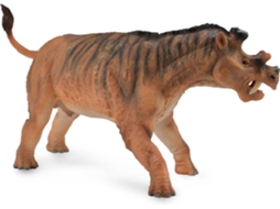 Figura COLLECTA uintatério