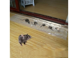 6 Pack De Adesivos Invisíveis Para Ratos Adesivos 1,2m Material Pet Impermeável
