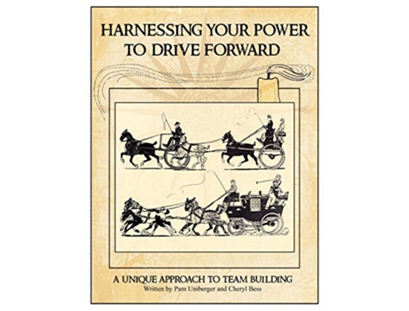 Livro Harnessing Your Power To Drive Forward de Cheryl Bess Pam Umberger (Inglês)