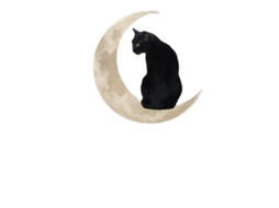 Enfeite para pendurar - Gato da Lua 30 x 30 cm