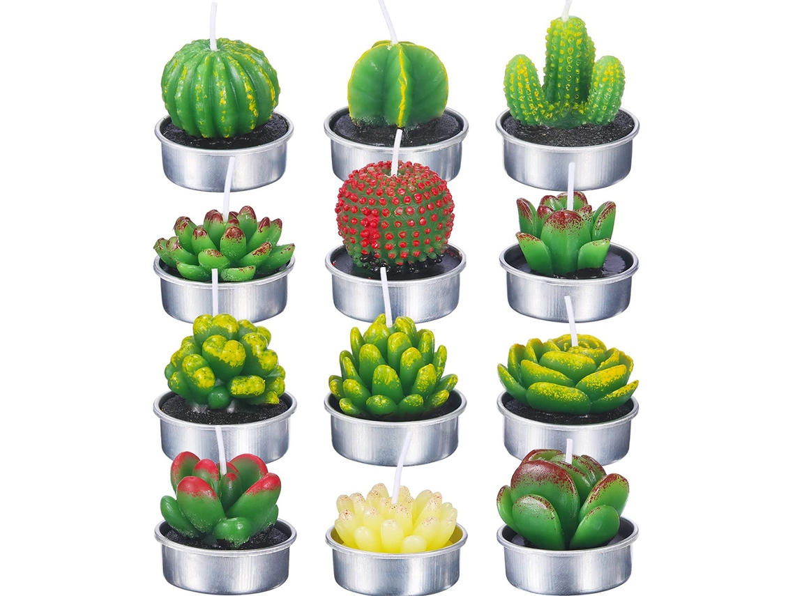12 Velas Plantas Suculentas Decoração Presentes