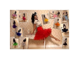 2026 falda Petticoat Vintage Rockabilly Anos 50 para Mulher com Volume e Tecido Organza de Qualidade