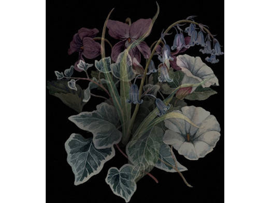 Vinil Nhor - Wildflowers (1CDs)