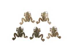 Isca de Sapo Artificial Mole com Anzol 5pcs 3g Marrom