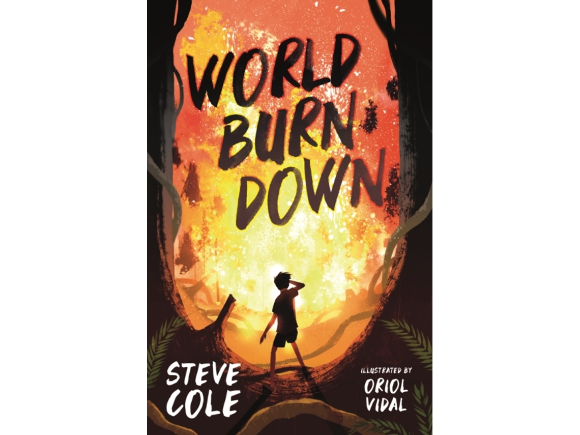 Livro World Burn Down de Steve Cole (Inglês)