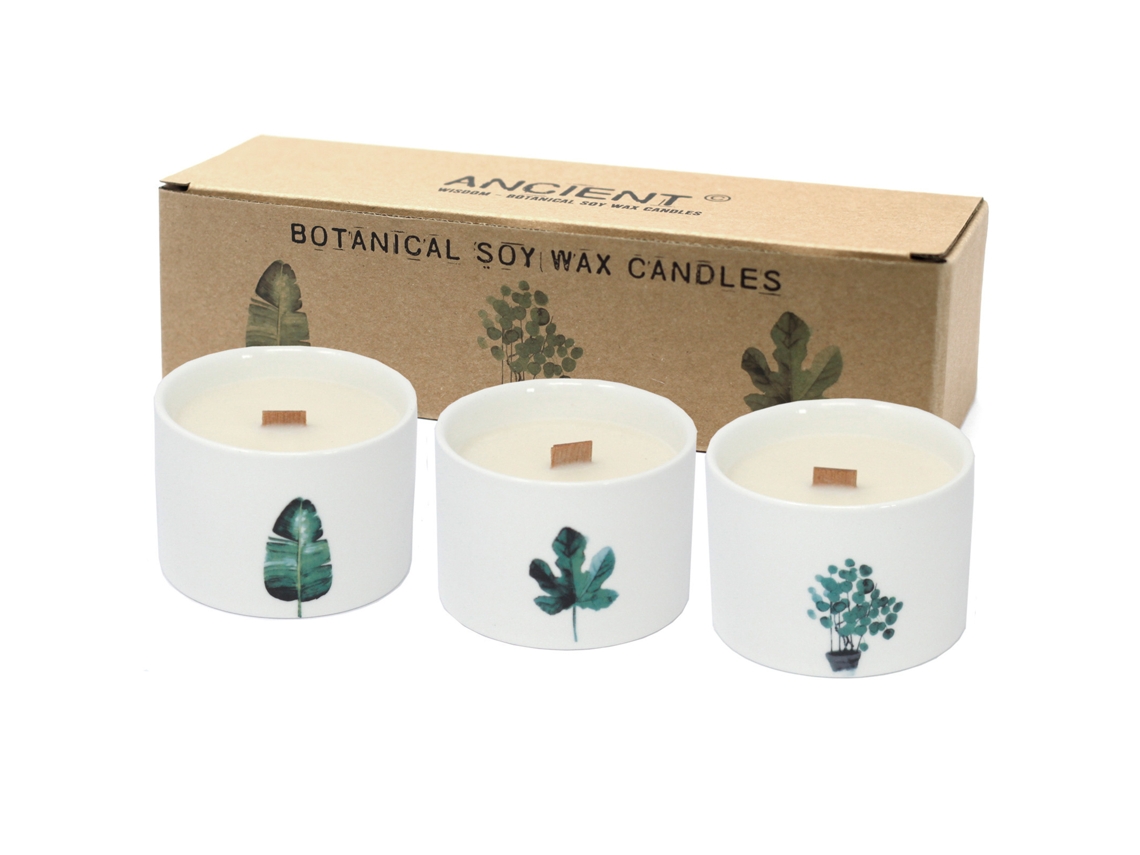 Velas Botânicas Médias Mullberry Harvest 8X6 Cm